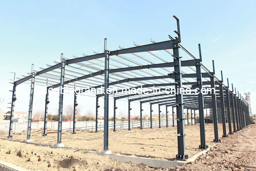 Reliable Design Steel Structure Warehouse/Frames/Steel Hangers (DG3-048)