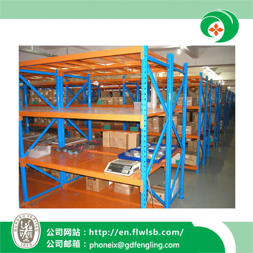 Metal Medium Shelving for Warehouse with Ce Approval (FL-99)