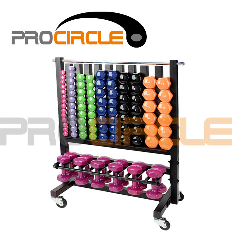 Crossfit Gym Equipment High Quality Storage Dumbbell Rack (PC-DR1004)