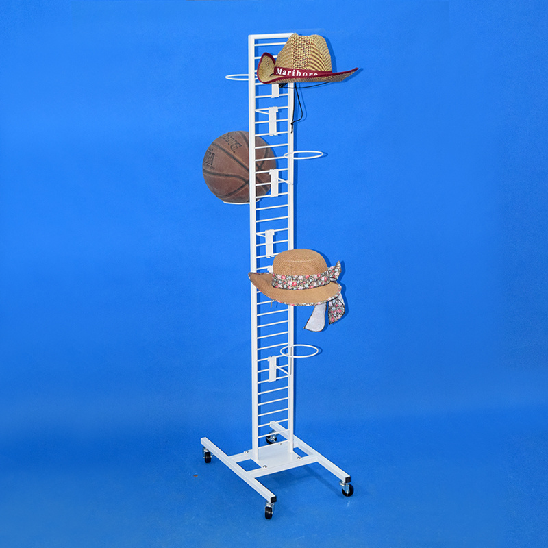 Floor Standing Mobile Store Presentation Metal Frame Display Rack (PHD8036B)