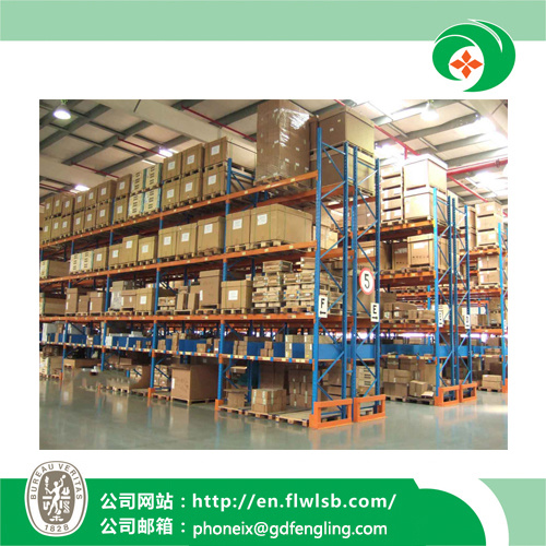 Customized Metal Corridor Pallet Rack for Warehouse with Ce