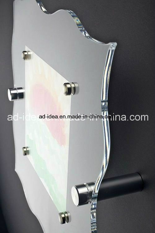 Special Shape Acrylic Display Rack