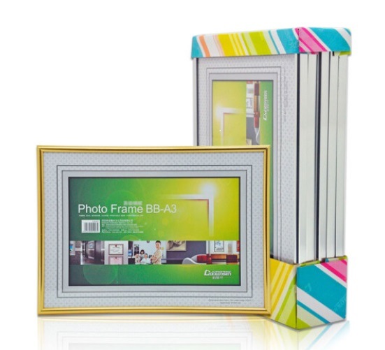 Plastic Picture Frame for Super Big Certification Storage