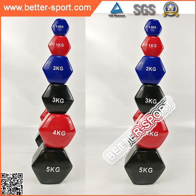 High Quality Colorful Vinyl Dumbbell