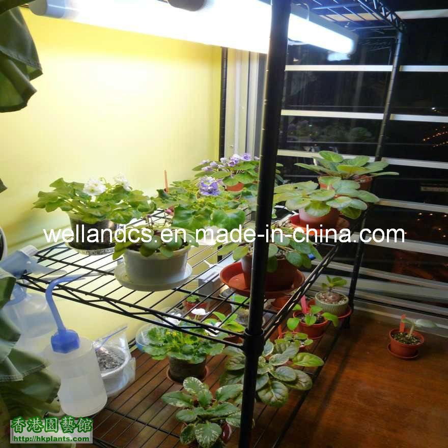 Adjustable Metal Wire Greenhouse Plant Rack Shelf, NSF Approval