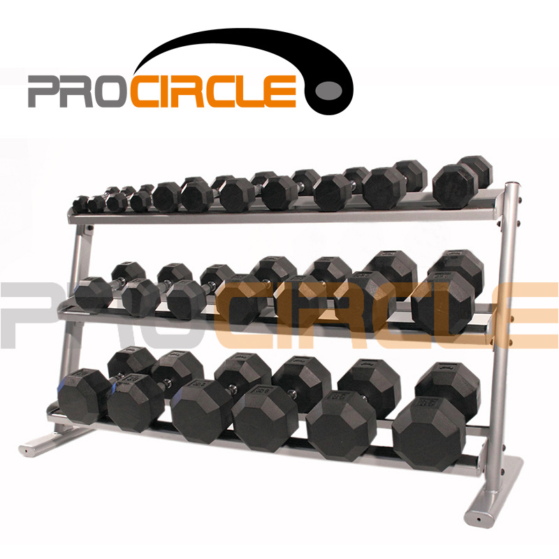 High Quality Standard Crossfit Dumbbell Gym Rack (PC-DR1003)