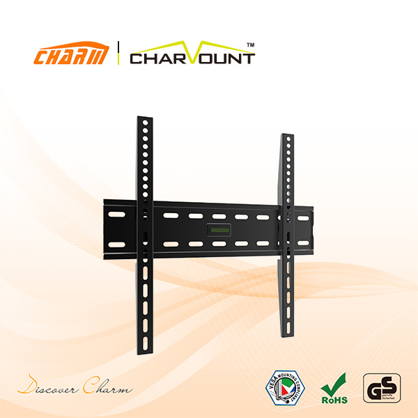 Fixed Style Metal TV Stand/TV Holder/TV Rack (CT-PLB-E813)