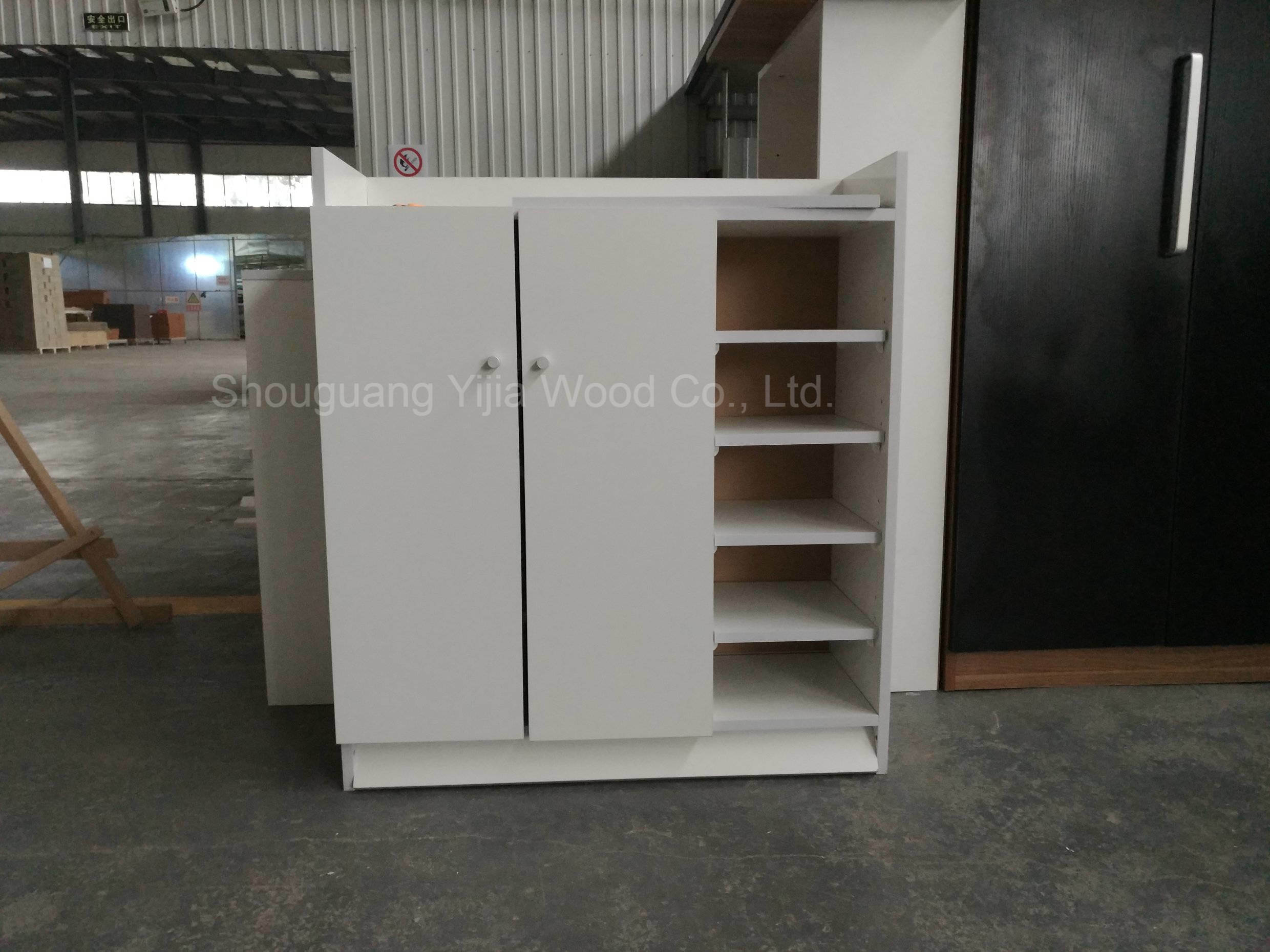 Two Doors Melamine Simple Shoe Cabinet