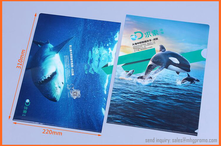 Custom PP Plastic L Shape File Folder