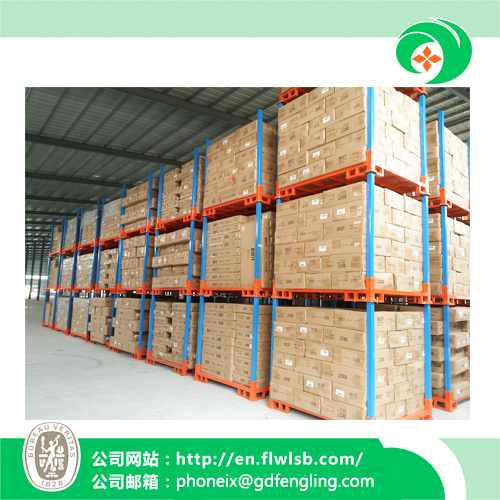 Hot-Selling Combined Storage Rack for Warehouse with Ce (FL-142)