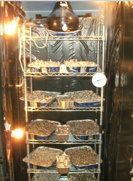 Metal Wire Shelf for Mushroom Growing Storage Rack, NSF Approval