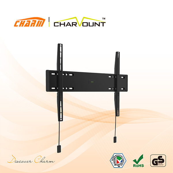 Ultra Slim TV Wall Mount (CT-PLB-LA112B)