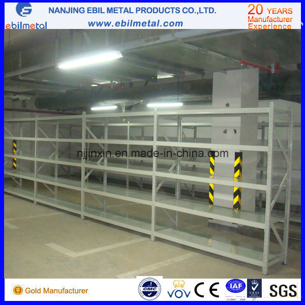 Popular Medium Duty Rack (EBILMETAL-LSR)