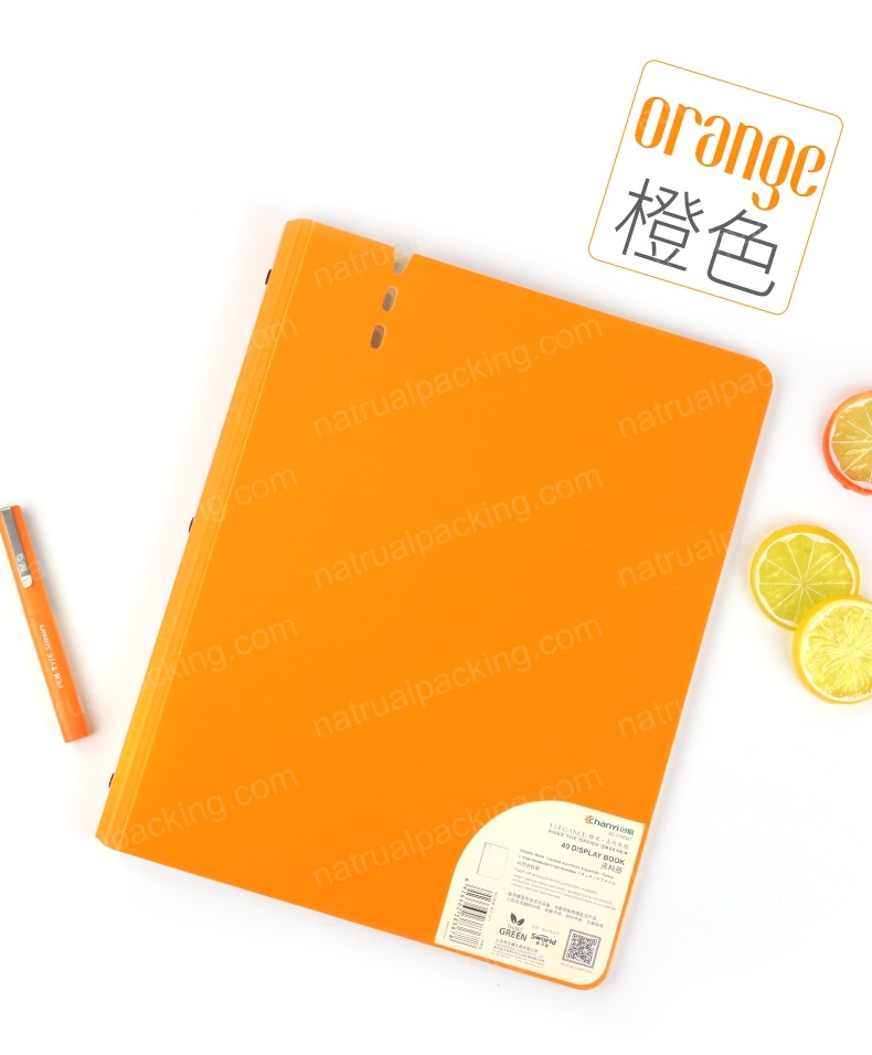 Hot Sale Plastic Filer Folder with Good Price