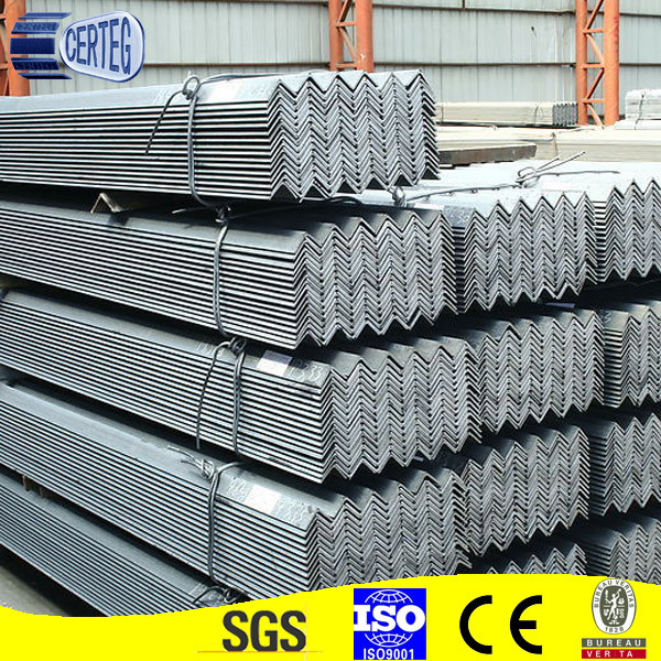 Equal & Unequal Steel Angle Bar Made for Goods Shelf