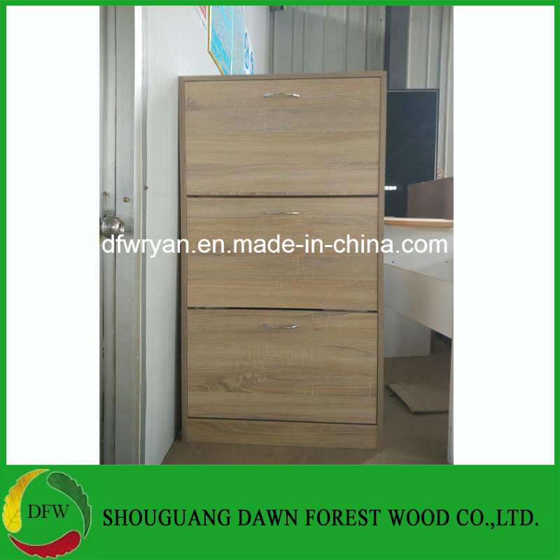 Three Doors Shoe Cabinet Furniture