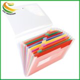 Custome Plastic Multiple Pockets Expanding File Folder