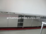 Metal Kitchen Cabinet for Modern (HS-038)