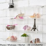 Wall Mounted Clear Acrylic 12 Compartment Organizer Rack
