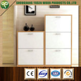 White Modern Wooden Shoe Cabinet