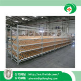 Steel Medium Duty Storage Rack for Warehouse with Ce