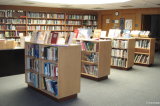 Book Shelf for Library in Wood Material