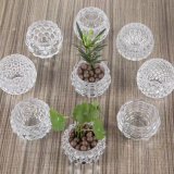 Best Selling Wholesale Clear Glass Vase for Home Decoration