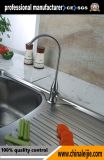 Sanitaryware Stainless Steel Kitchen Faucet