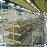 Wholesale Warehouse Pallet Live Storage Rack Gravity Flow Racks