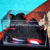 Popular Clear Acrylic Plexiglass Shoe Box (YYB-8557)
