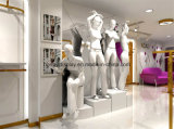 Ladies Garment Shop Interior Decoration, Display Shelf