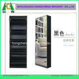 Black Color Mirrored Shoe Cabinet